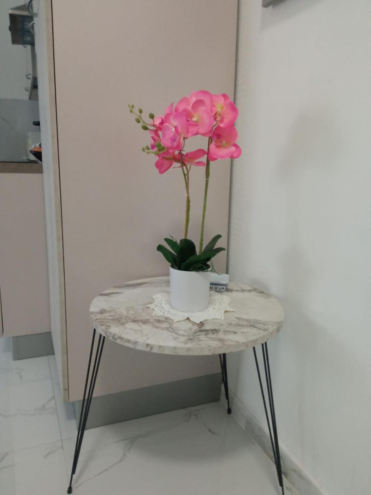 Wh - Dolce Vita - Bilocale - 5 Minuti Dal Centro - Parcheggio Gratuito - Wifi Sanremo Exterior photo